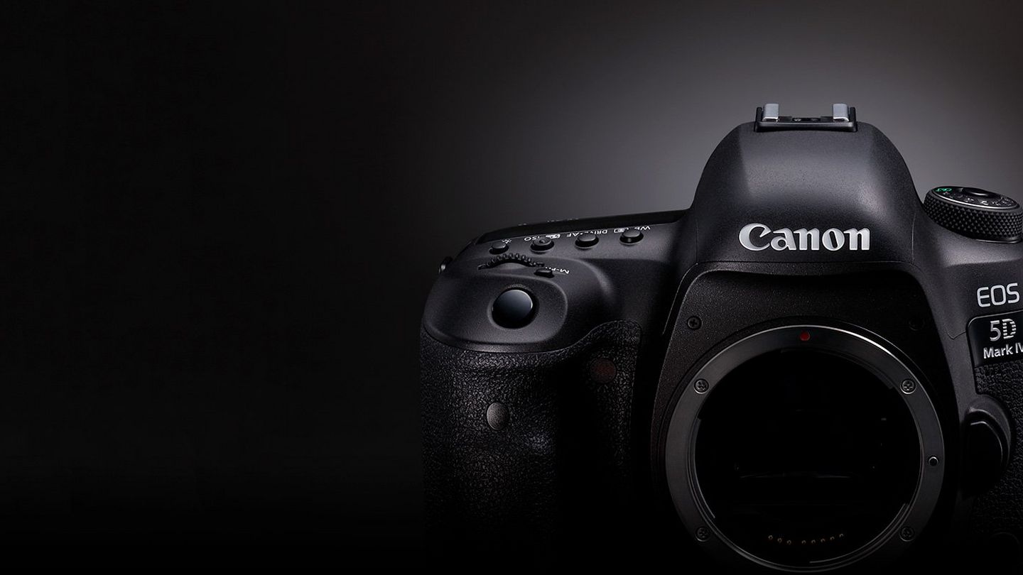 canon 5d mark iv 24 70mm f 4l is usm